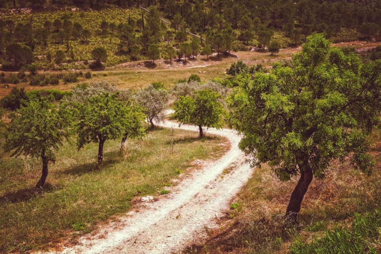 Casa Sol - Traditional Village House With Pool And View Pinos del Valle Exterior foto